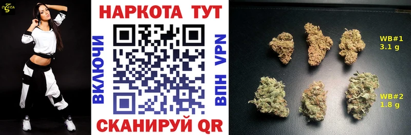 Купить наркотики Волгореченск АМФ  ГАШИШ  Alpha PVP 