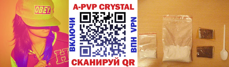 A PVP СК  Волгореченск 