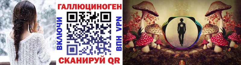 блэк спрут как зайти Волгореченск Галлюциногенные грибы Psilocybe